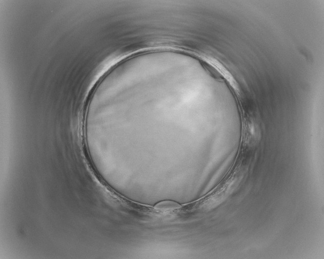 X0000116141101200912071238