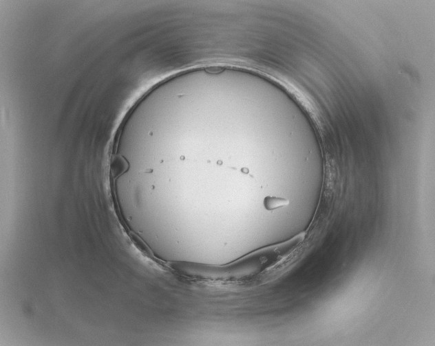 X0000116141102200912071238