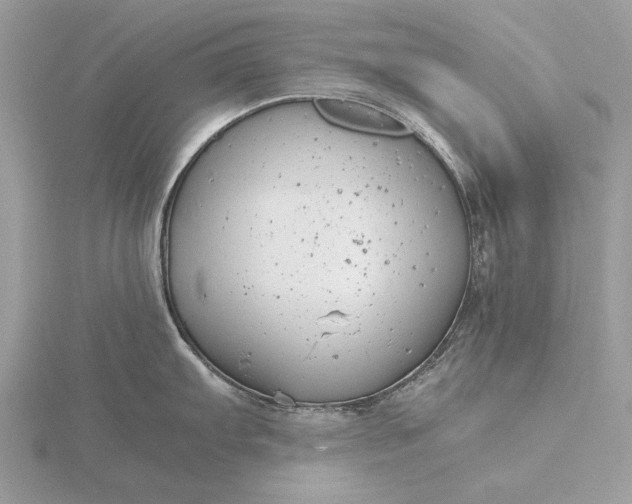 X0000116141103200912071238