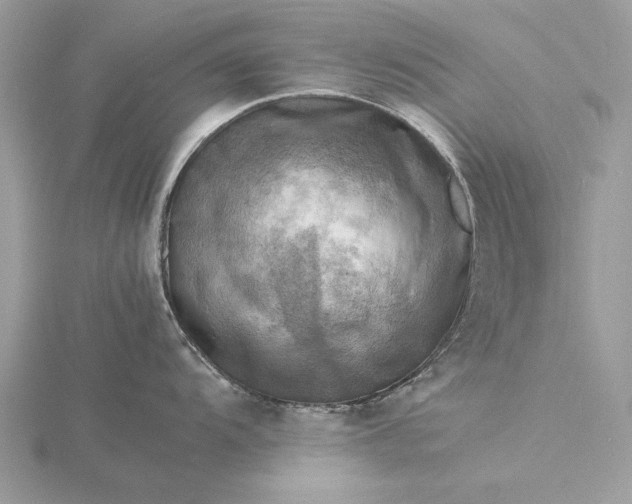 X0000116141104200912071238