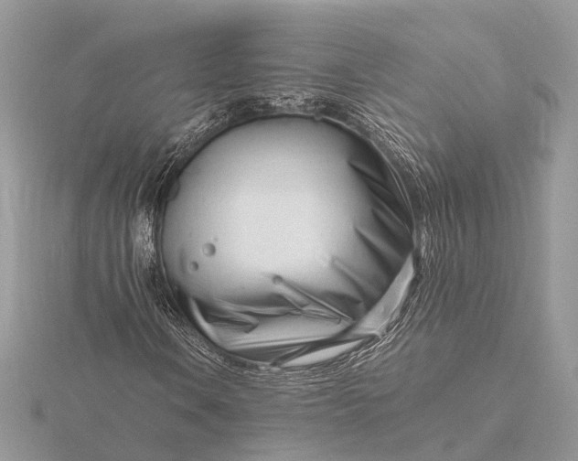 X0000116141106200912071237