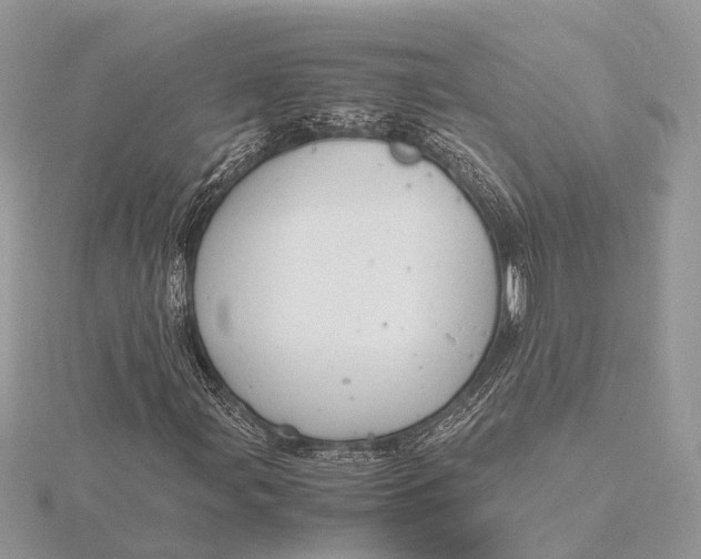 X0000116141107200912071237