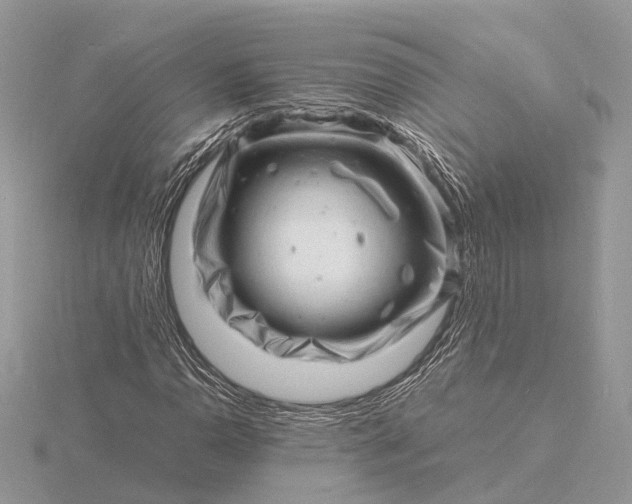 X0000116141110200912071237