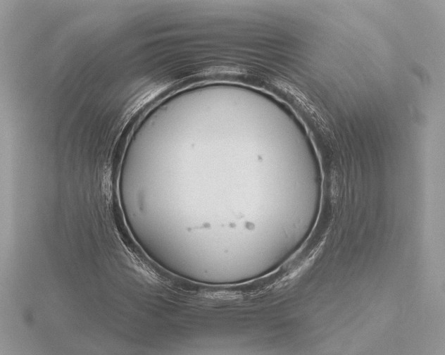 X0000116141113200912071237