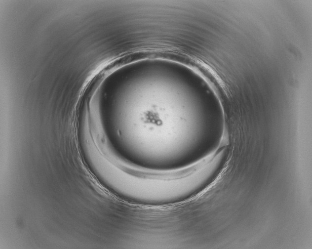 X0000116141114200912071237