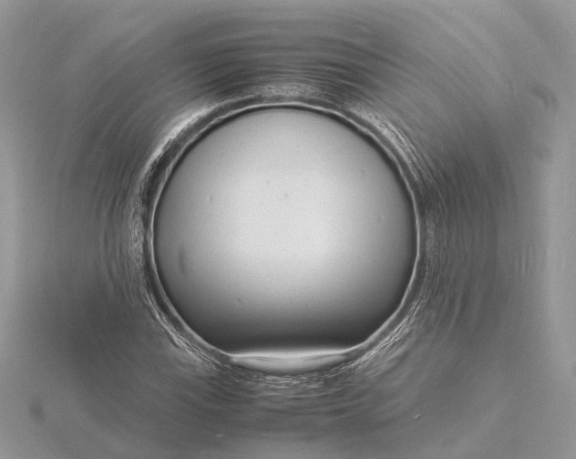 X0000116141115200912071237