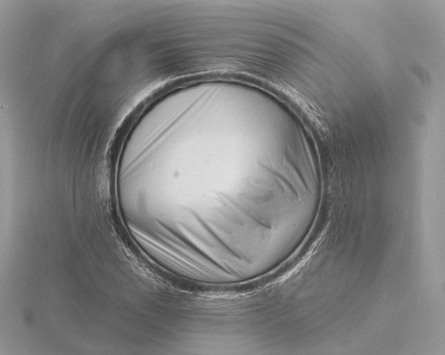 X0000116141118200912071237