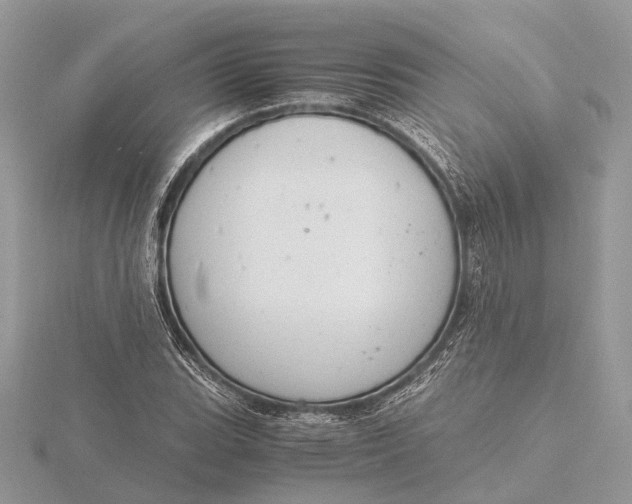 X0000116141119200912071237