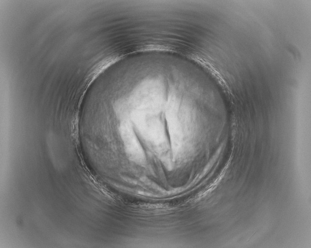 X0000116141121200912071237