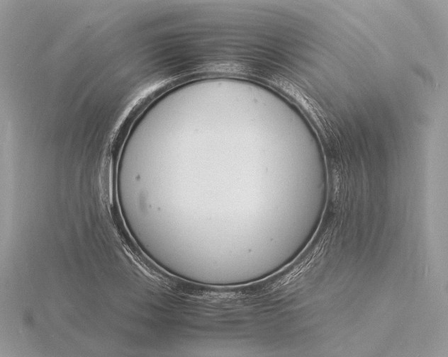 X0000116141123200912071237