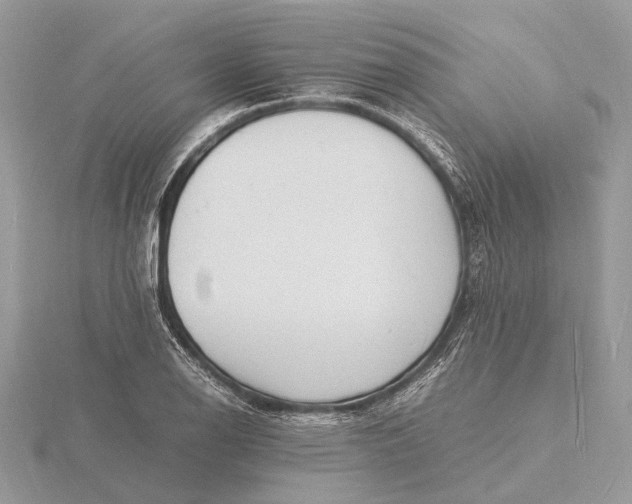 X0000116141126200912071237