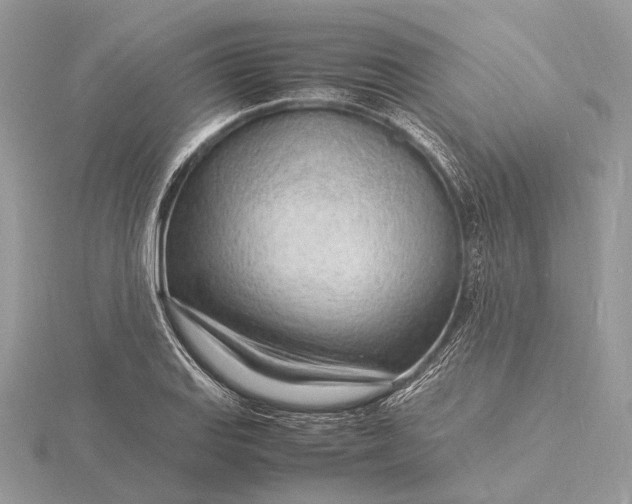 X0000116141127200912071237