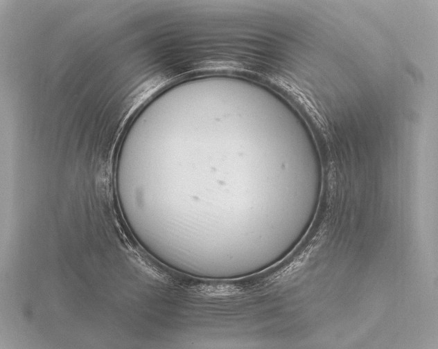 X0000116141129200912071237