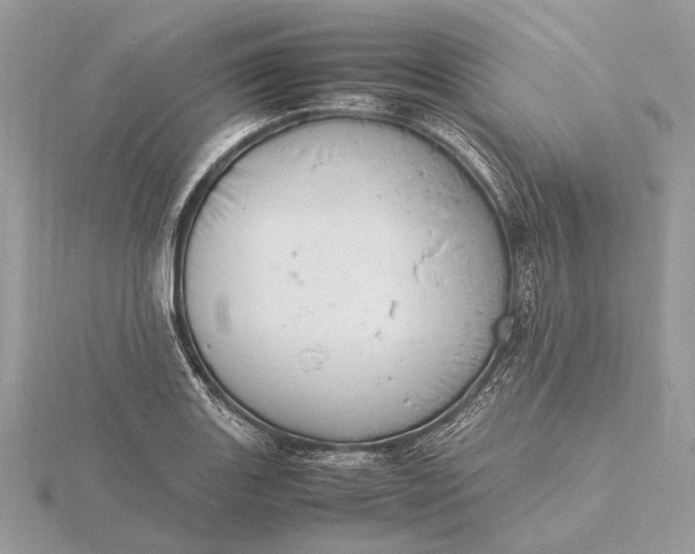 X0000116141131200912071238