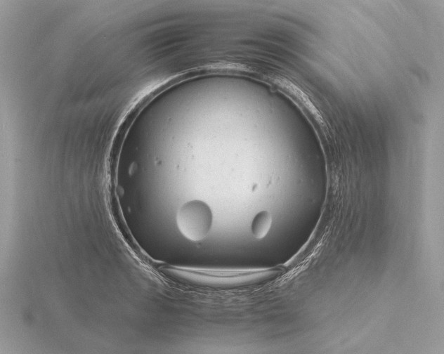 X0000116141133200912071238