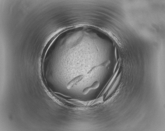 X0000116141134200912071238