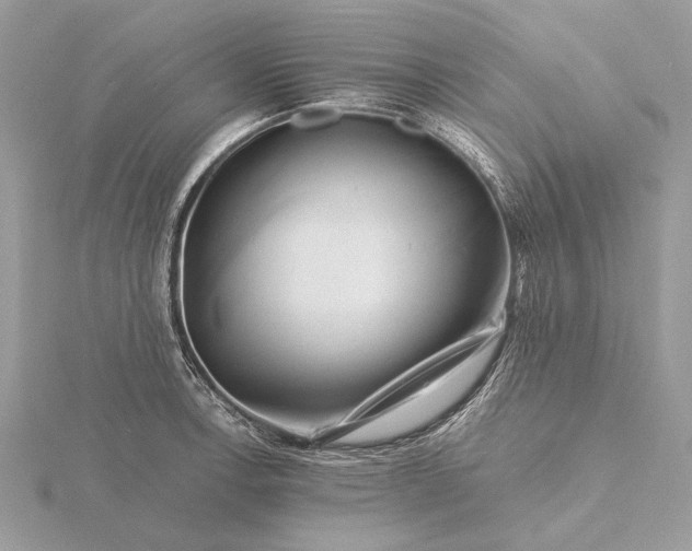 X0000116141138200912071238