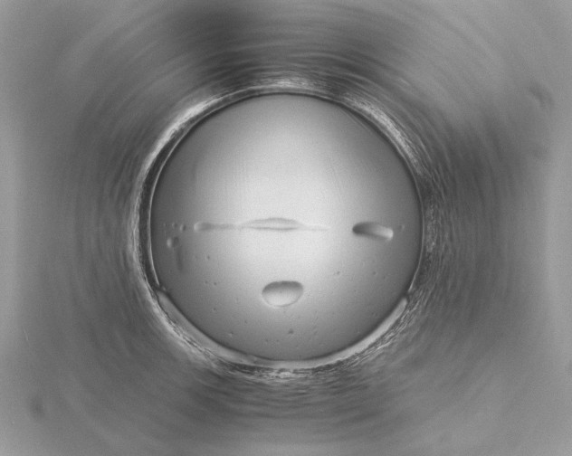 X0000116141139200912071238