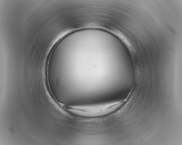 X0000116141142200912071238