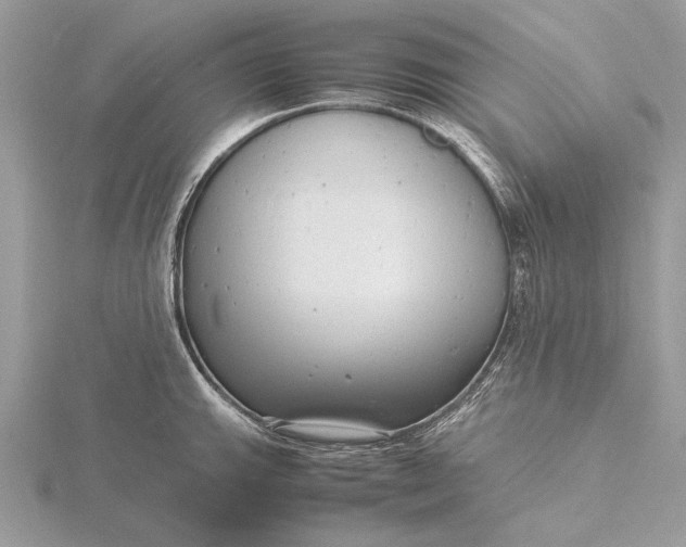 X0000116141143200912071238