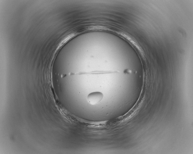 X0000116141145200912071238