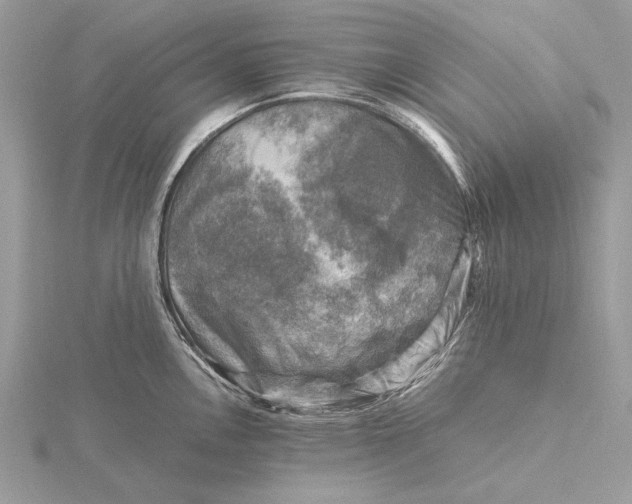 X0000116141146200912071238