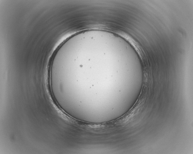 X0000116141147200912071238