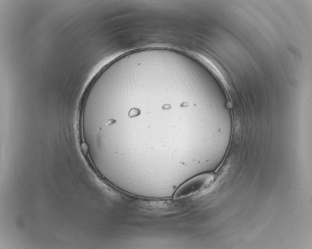 X0000116141149200912071238