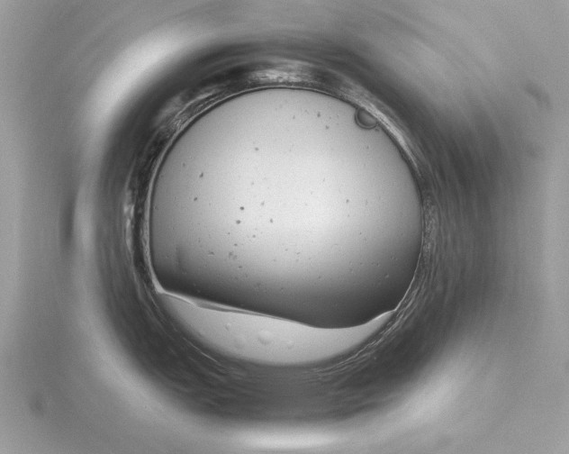 X0000116141151200912071238