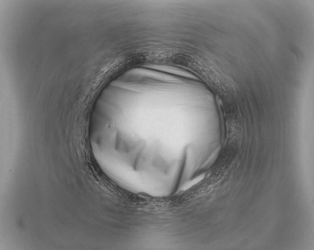 X0000116141153200912071237