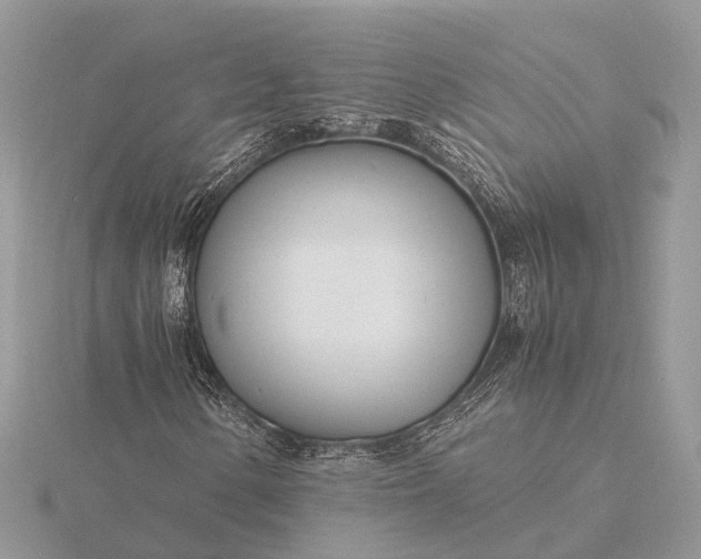 X0000116141154200912071237