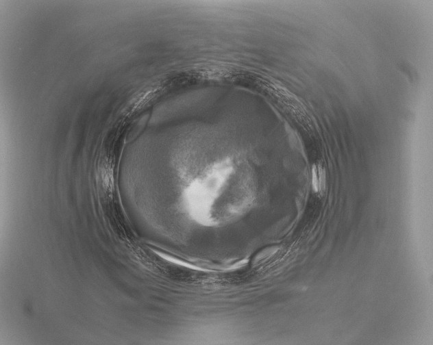 X0000116141155200912071237