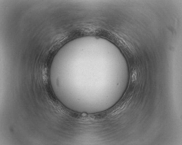 X0000116141156200912071237