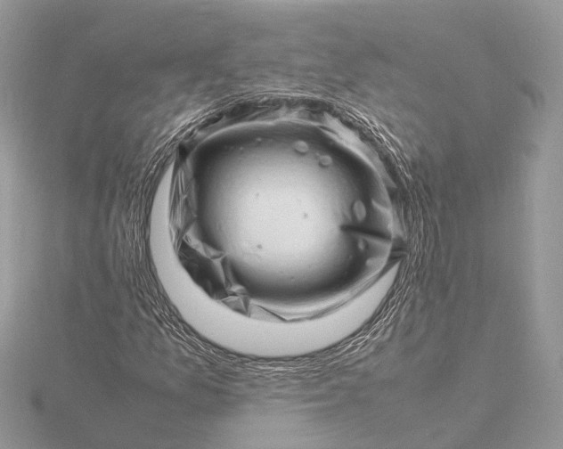 X0000116141157200912071237