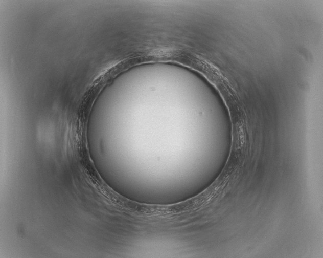 X0000116141158200912071237