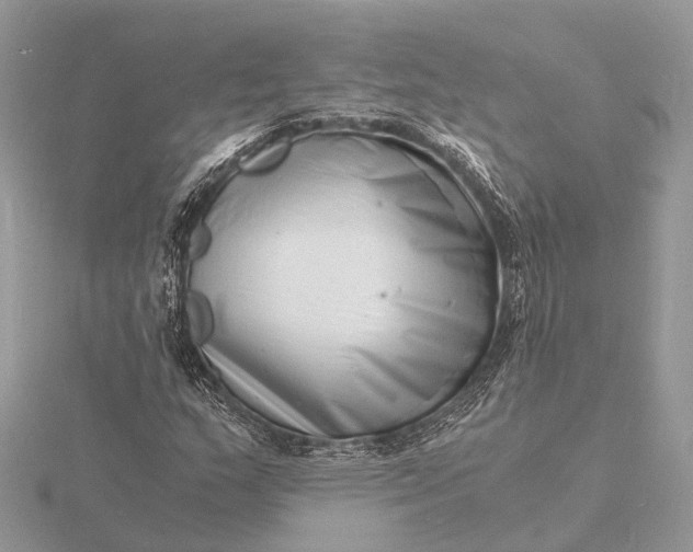 X0000116141159200912071237