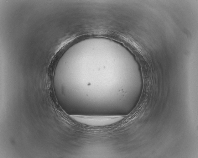 X0000116141160200912071237