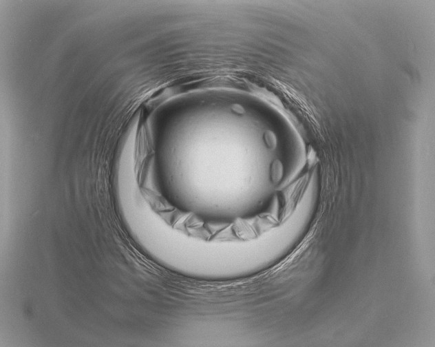 X0000116141161200912071237