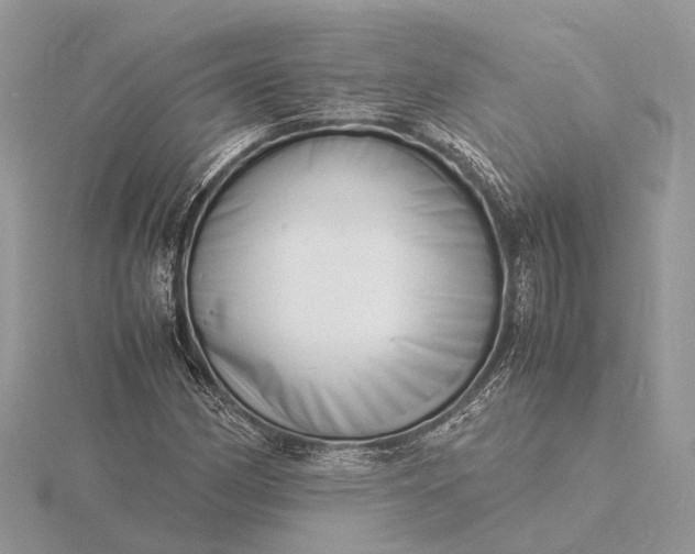 X0000116141162200912071237