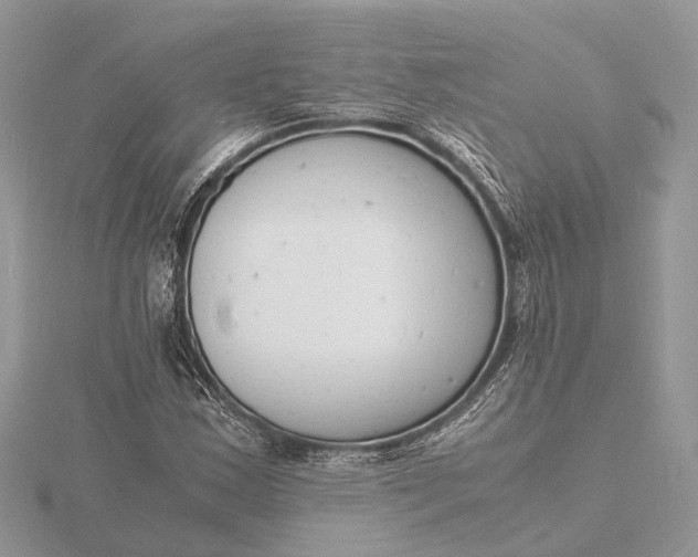 X0000116141163200912071237