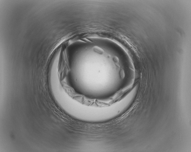 X0000116141165200912071237