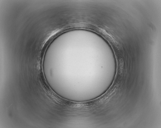 X0000116141166200912071237