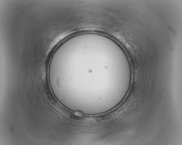 X0000116141167200912071237