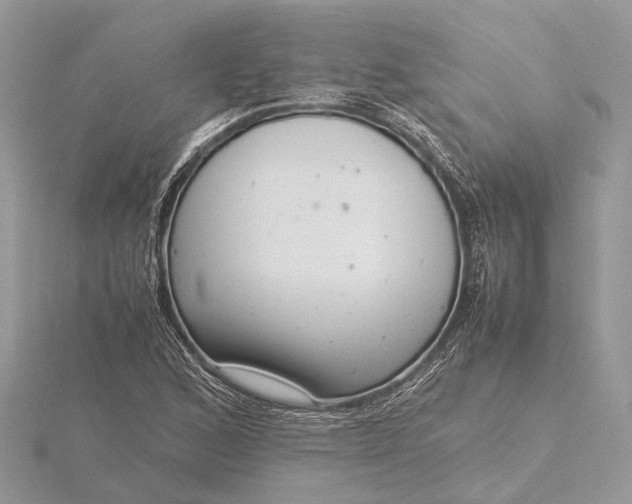 X0000116141168200912071237