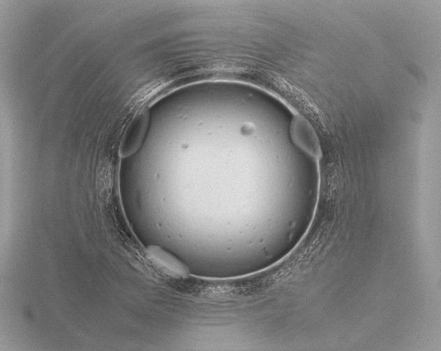 X0000116141169200912071237