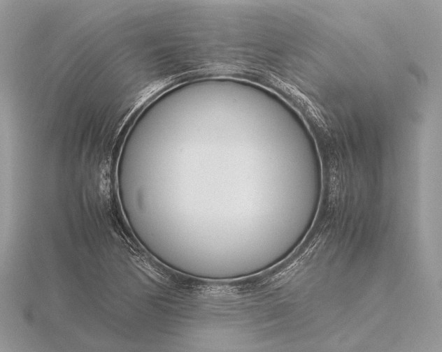 X0000116141170200912071237