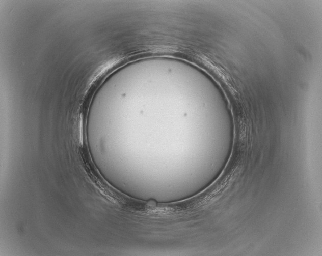 X0000116141171200912071237