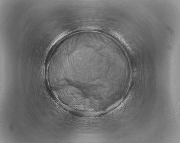 X0000116141173200912071237