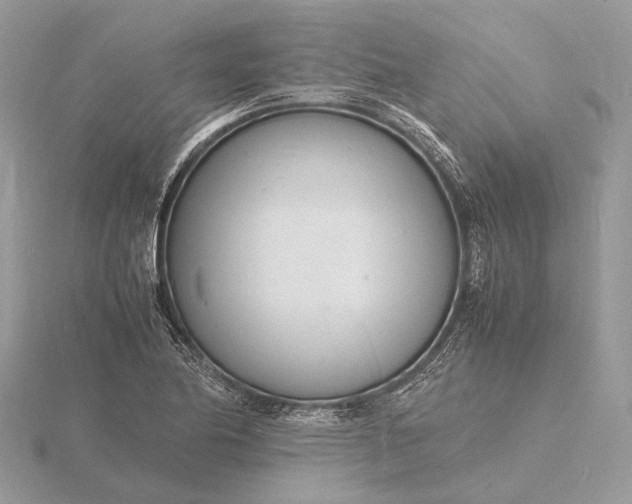 X0000116141174200912071237