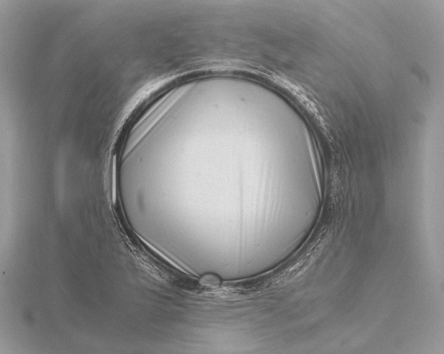 X0000116141175200912071237